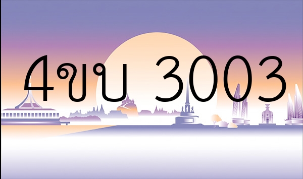 4ขบ 3003